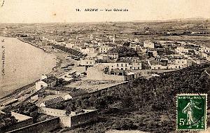 ARZEW 019